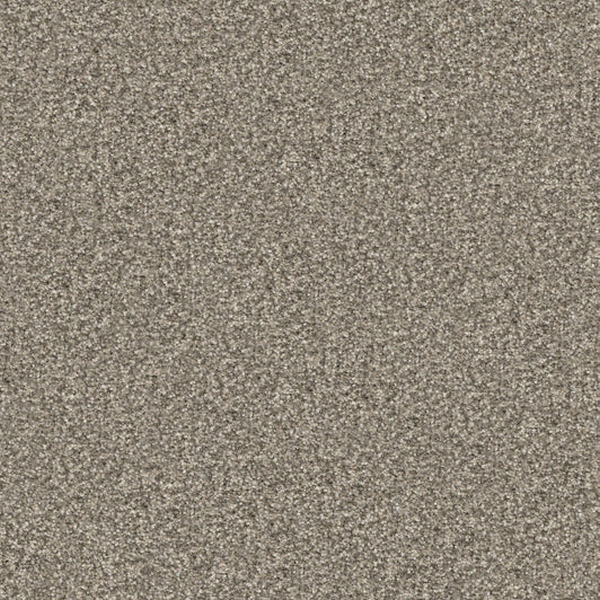 Masland Carpets Hunter Lassie Masland