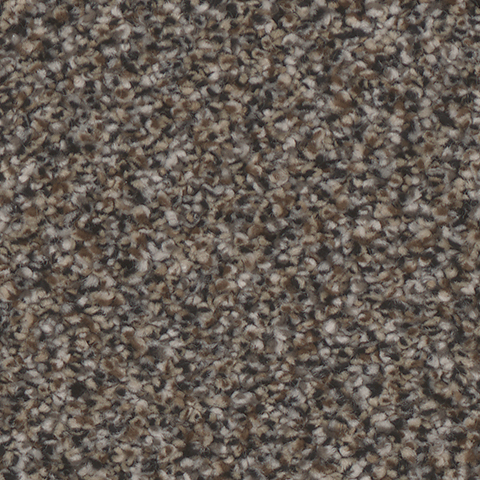 Tarkett Home Carpets Montecito Ritzy LEXMARK
