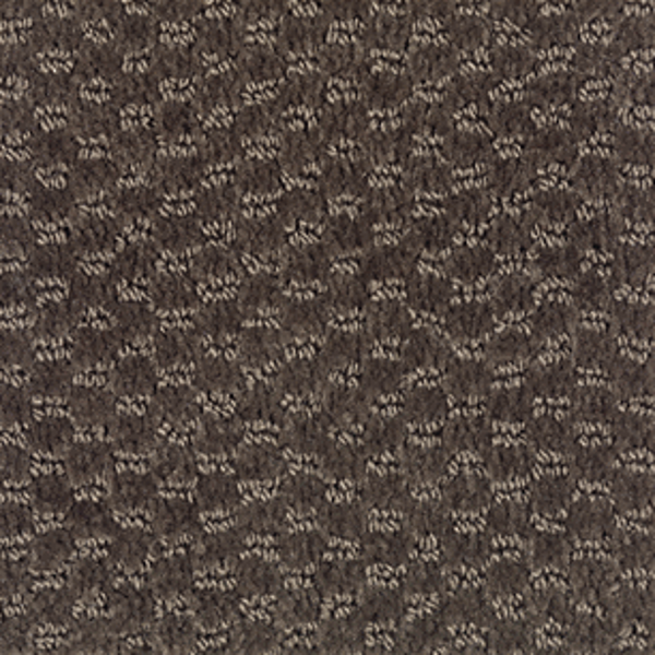 Mohawk Carpet Dynamo Cigar Leaf Mohawk