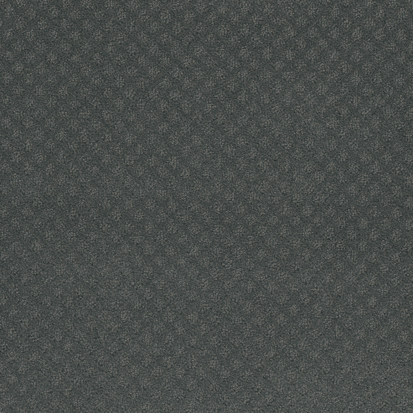 Dreamweaver Carpet Capri Onyx Waves DREAMWEAVER