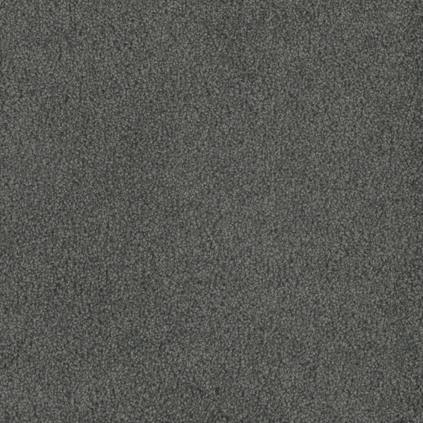 Dreamweaver Carpet Hammond Creek I Onyx Waves DREAMWEAVER