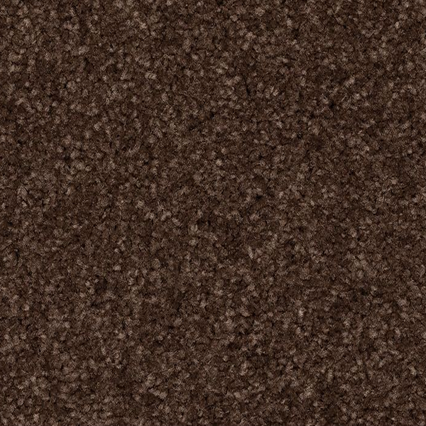 Mohawk Carpet Quality Feeling Dark Fudge Mohawk