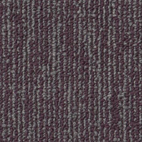 Shaw Floors Engrain Principle SHAW