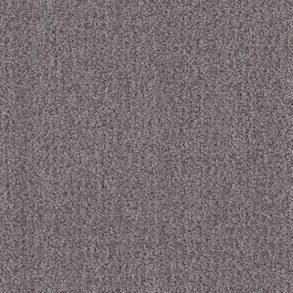 Shaw Floors Fine Tapestry Deep Connection SHAW