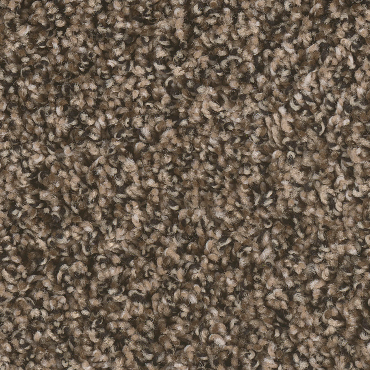 Dreamweaver Carpet West Brow Pepper Ridge DREAMWEAVER