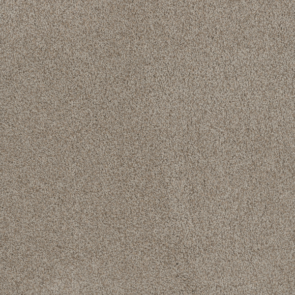 Dreamweaver Carpet Stunning Stucco DREAMWEAVER