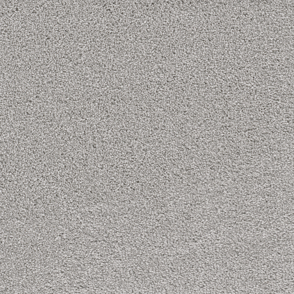 Dreamweaver Carpet Cape Cod Icicle DREAMWEAVER
