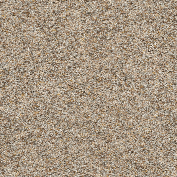 Dreamweaver Carpet Confetti I Harmony DREAMWEAVER