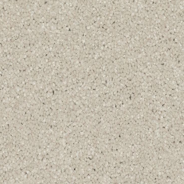 Mohawk Carpet Quality Feeling Seagull Mohawk