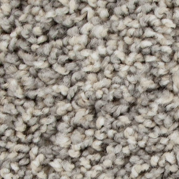 Mohawk Carpet Color Fusion II Twilight Mohawk