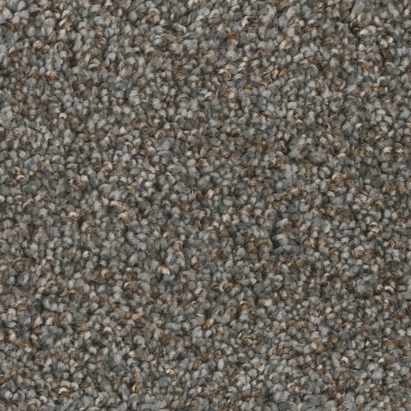 Dreamweaver Carpet Jackson Hole I Night Shade DREAMWEAVER