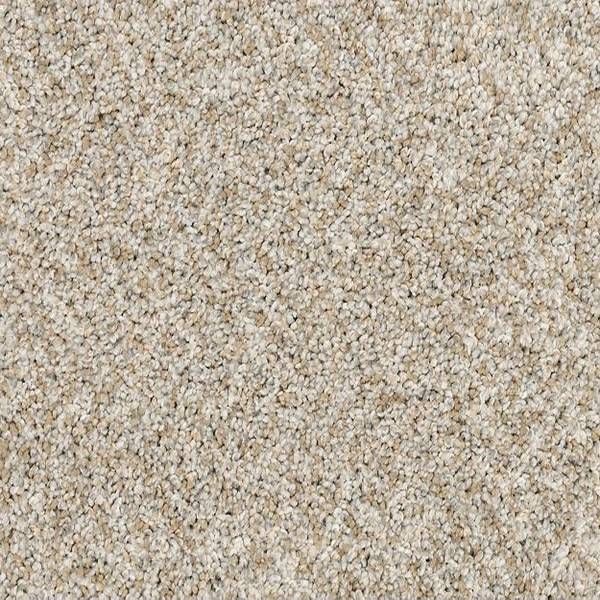 Mohawk Carpet Claws And Effect II Crystalline Mohawk