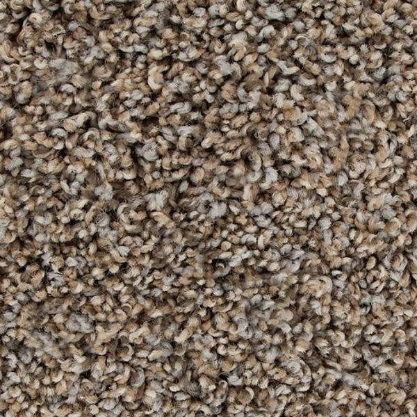 Mohawk Carpet Color Fusion I Iron Side Mohawk