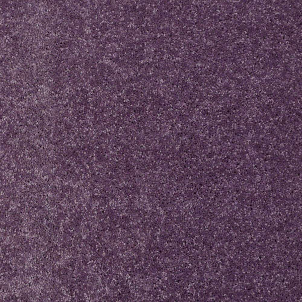 Shaw Floors Newbern Classic 12 Violet Crush SHAW