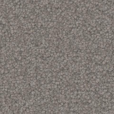 Tarkett Home Carpets Balmoral Alley LEXMARK