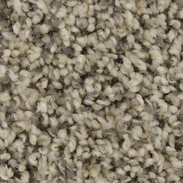 Mohawk Carpet Color Fusion II Retreat Mohawk