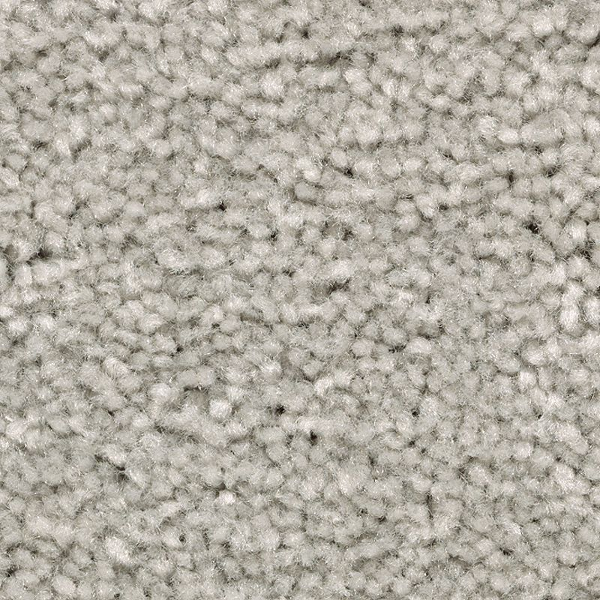 Mohawk Carpet Treasure Valley Drizzling Mist Mohawk