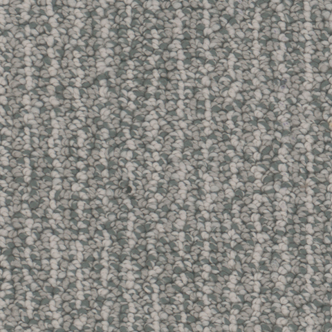 Tarkett Home Carpets Palisades Pacific LEXMARK