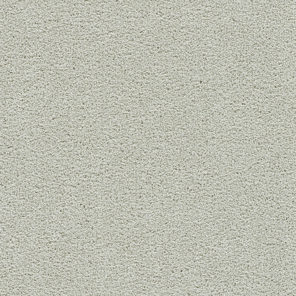 Dreamweaver Carpet Clear Skies III Snowbird DREAMWEAVER