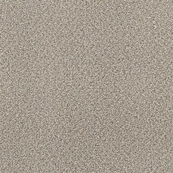 Dreamweaver Carpet Montauk Ash DREAMWEAVER