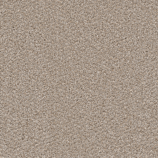 Dreamweaver Carpet Cape Cod Ash DREAMWEAVER
