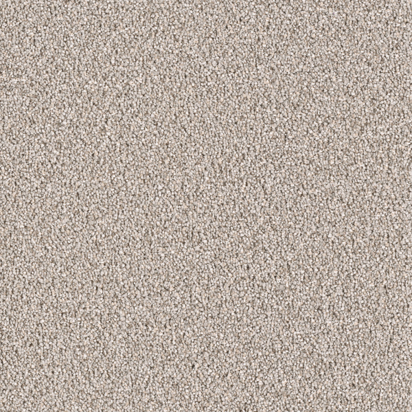 Dreamweaver Carpet East Hampton Ash DREAMWEAVER