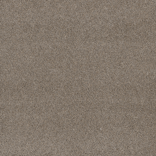 Dreamweaver Carpet Stunning Ash DREAMWEAVER