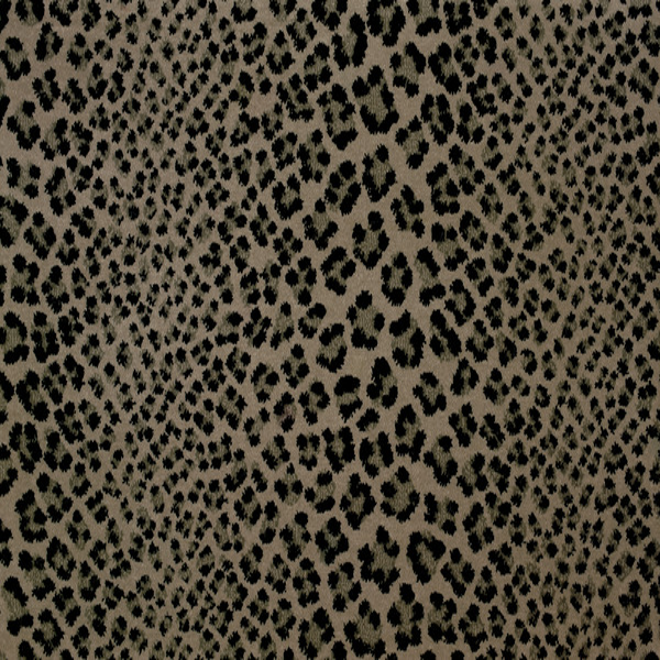 Stanton Carpet Linus Silversmith Stanton