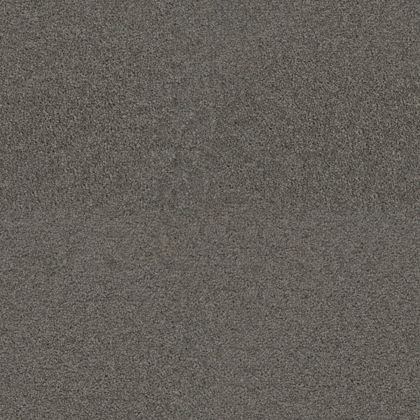 Dreamweaver Carpet Exceptional II Bayside DREAMWEAVER