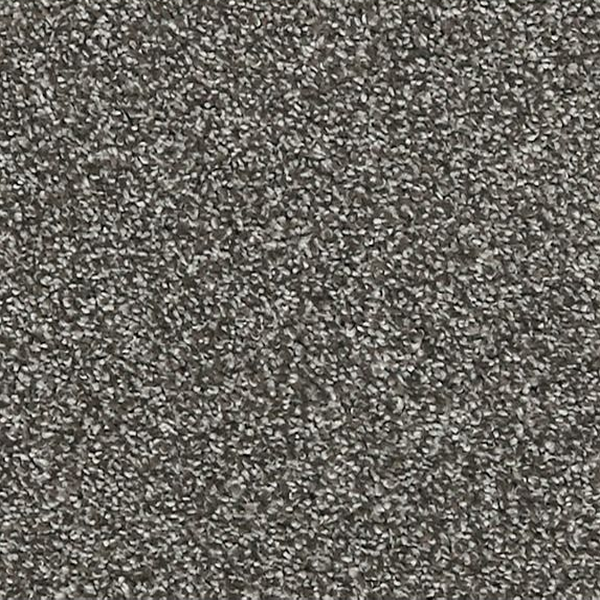 Mohawk Carpet Luxuriant Feel Pavement Mohawk