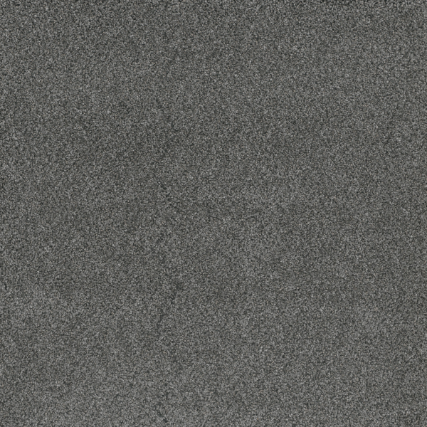 Dreamweaver Carpet Stunning Zinc DREAMWEAVER