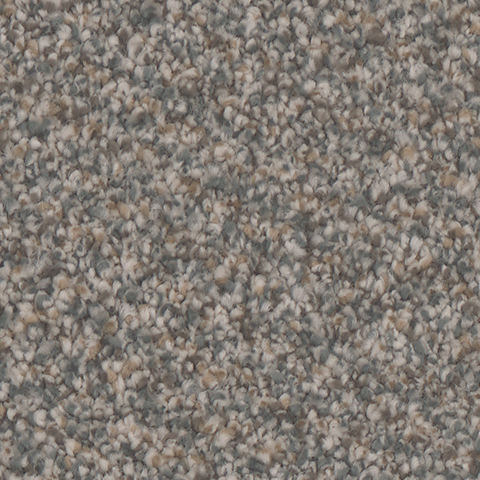 Tarkett Home Carpets Riviera Epic LEXMARK