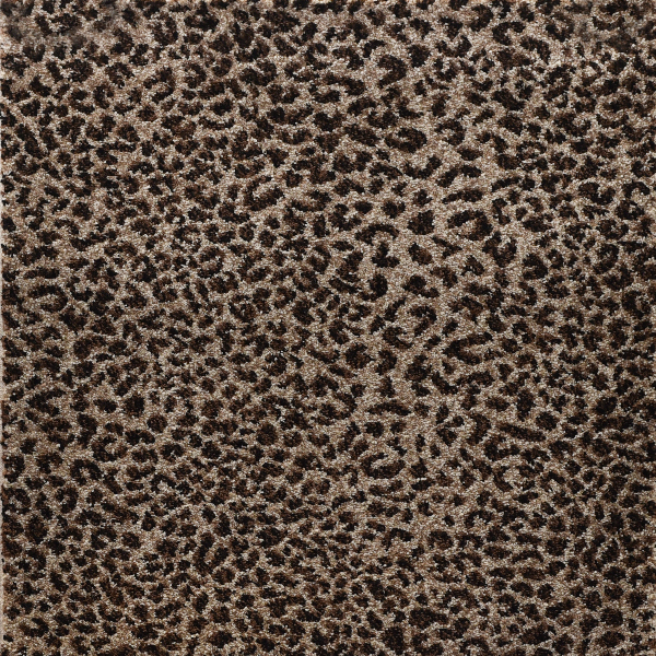 Kane Carpet Ceremony Leopard KANE
