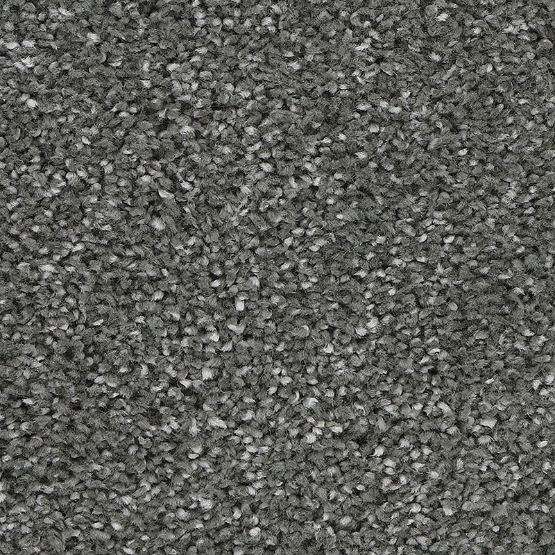 Horizon Carpet Delicate Tones II Alden Charcoal Mohawk