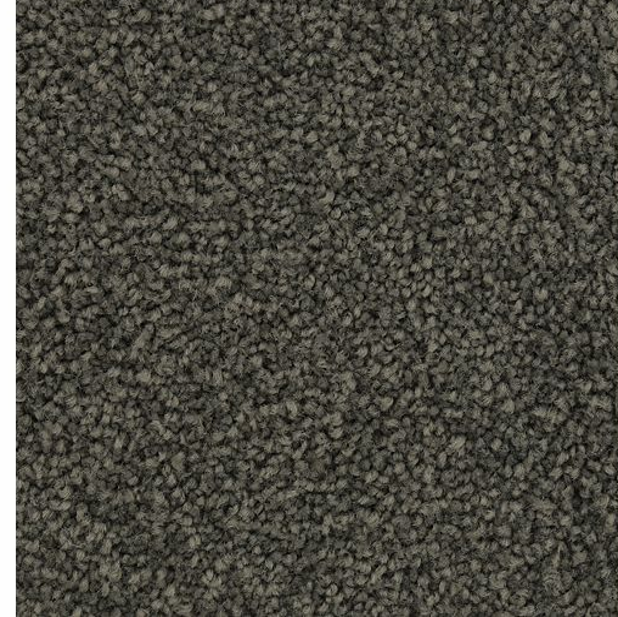 Horizon Carpet Coastal Fashion III Nettng Mohawk