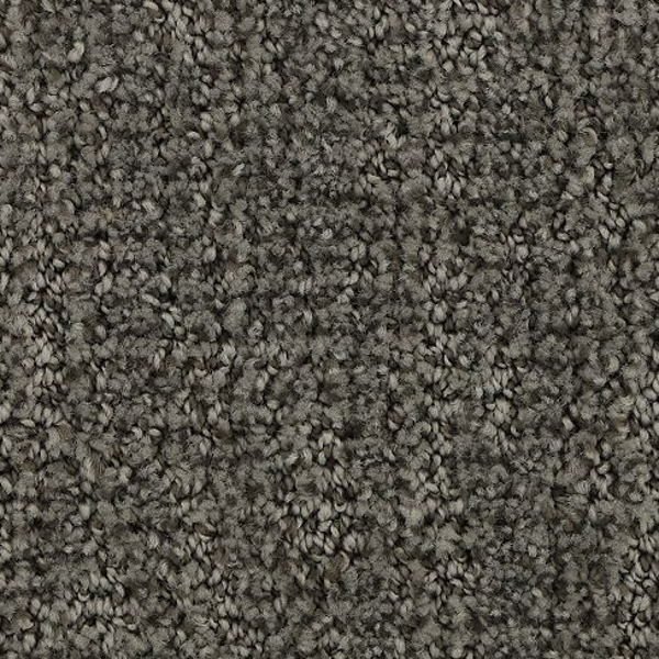 Horizon Carpet Stylish Trend Shale Mohawk