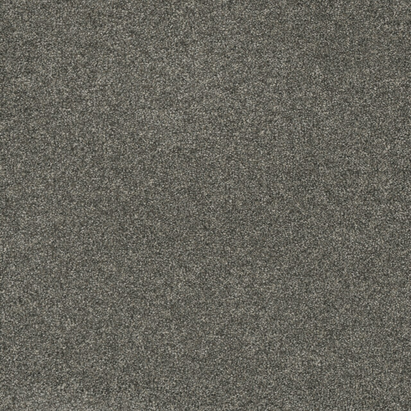 Dreamweaver Carpet Astounding III Anchors Aweigh DREAMWEAVER