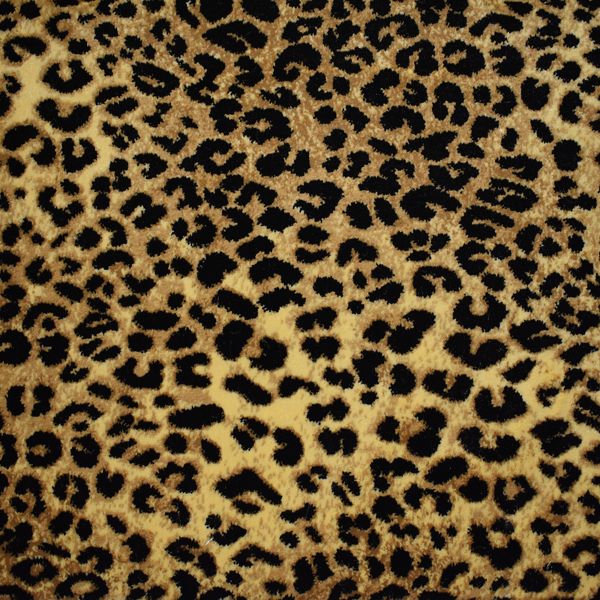 Kane Carpet Kaplani Agile Cheetah KANE