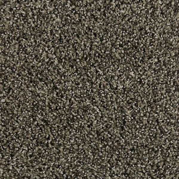 Mohawk Carpet Natural Opulence I Ancestral Mohawk