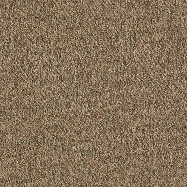 Shaw Floors Invincible 28 Bedrock SHAW