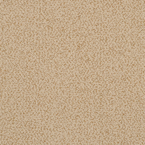 Fabrica Carpets Breakers Smooth Sable Fabrica