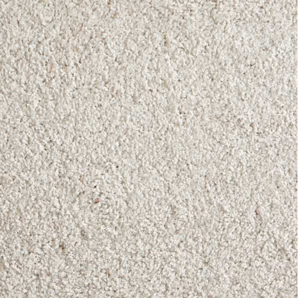 Stanton Carpet Shaggy Superstar Bone Stanton
