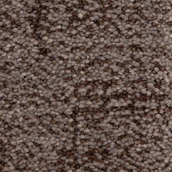 Dixie Home Mystique Dark Shadows