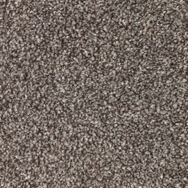 Mohawk Carpet True Harmony Druid Mohawk