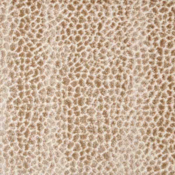 Stanton Carpet Allegory Dune Stanton