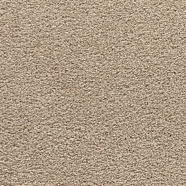 Mohawk Carpet Bold Choice Dune Mohawk
