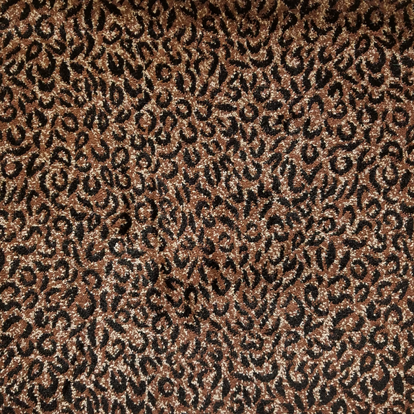 Kane Carpet Tanzania Eyra Cat KANE