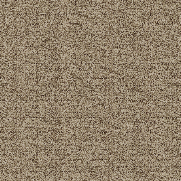 Tarkett Home Carpets Manhattan Flint LEXMARK