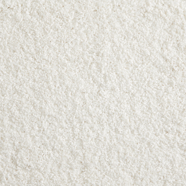 Stanton Carpet Shaggy Superstar Frost Stanton