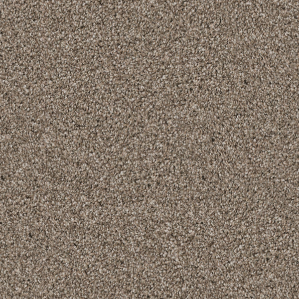 Dixie Home Affection Mocha